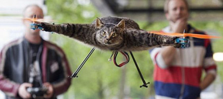 Chat Quadricoptere